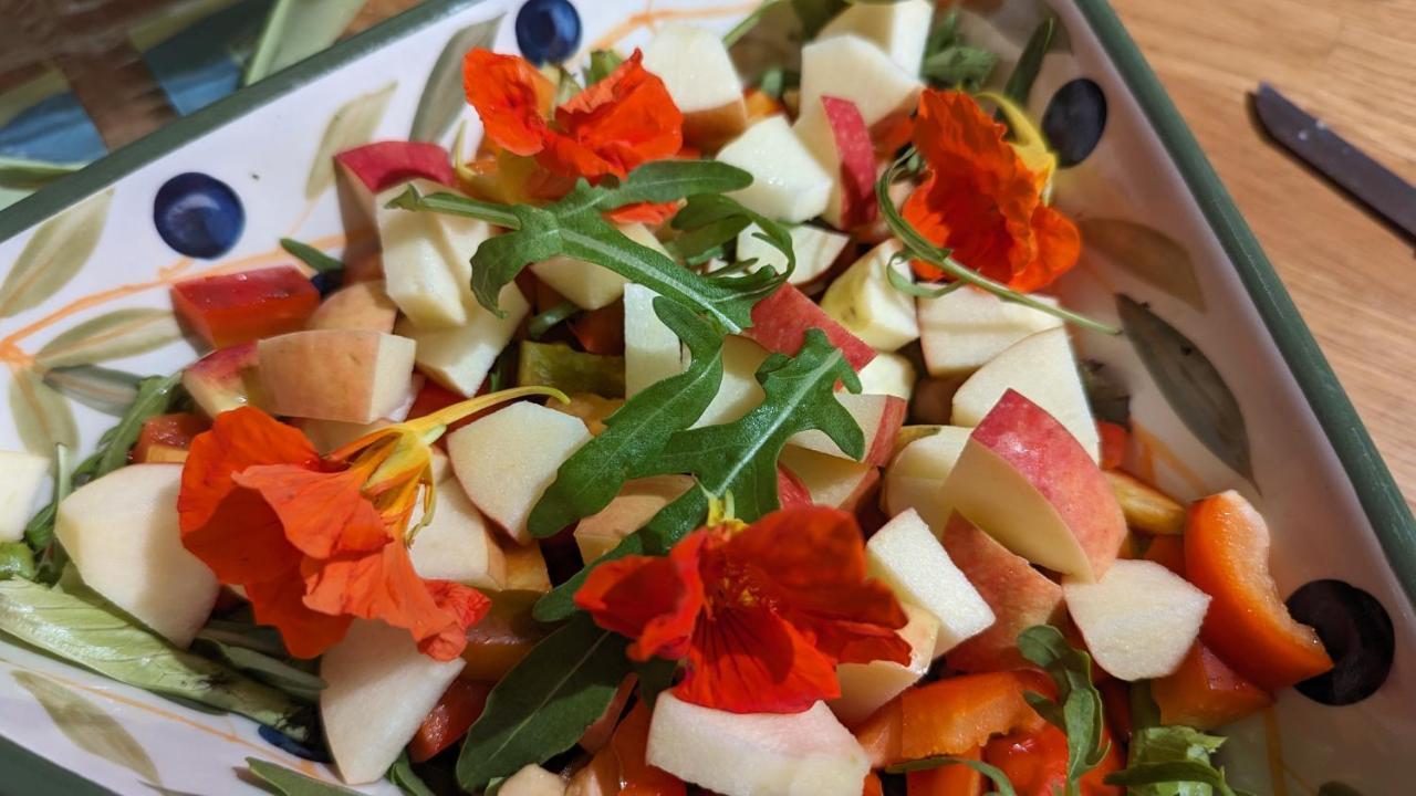 Bed And Breakfast La Pecora Rosa Sant'Omero 外观 照片
